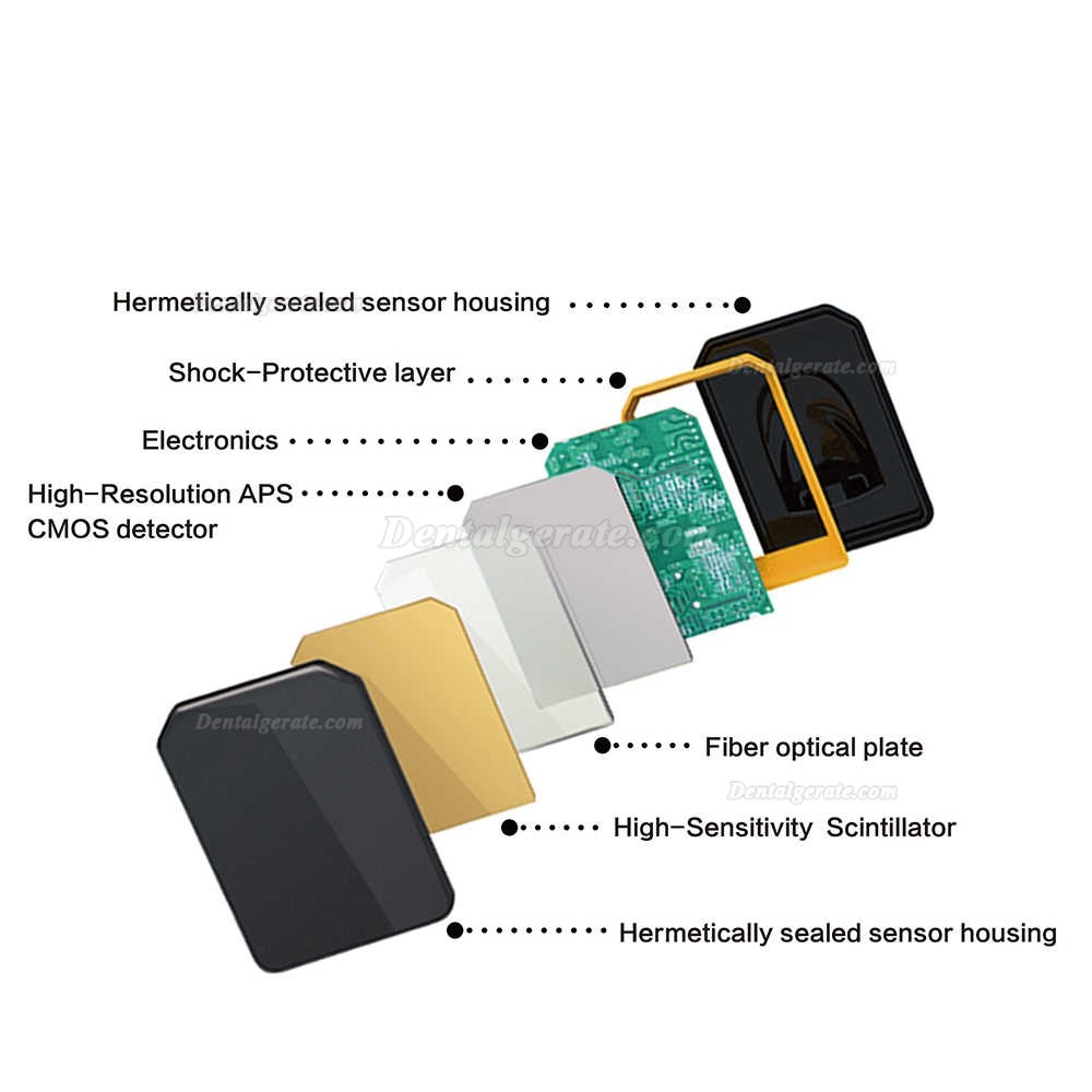 Handy HDR-600A Digitaler Intraorale R&ouml;ntgensensor Zahn&auml;rztlich Intraorale Flachkollektoren